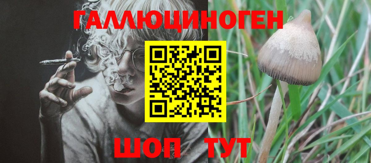 Белореченск  Галлюциногенные грибы Psilocybe  Вход с VPN 